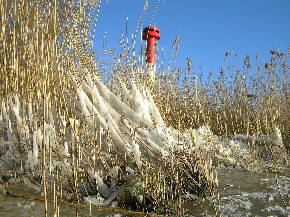 Holthus Lägenhet Kollmar Exteriör bild