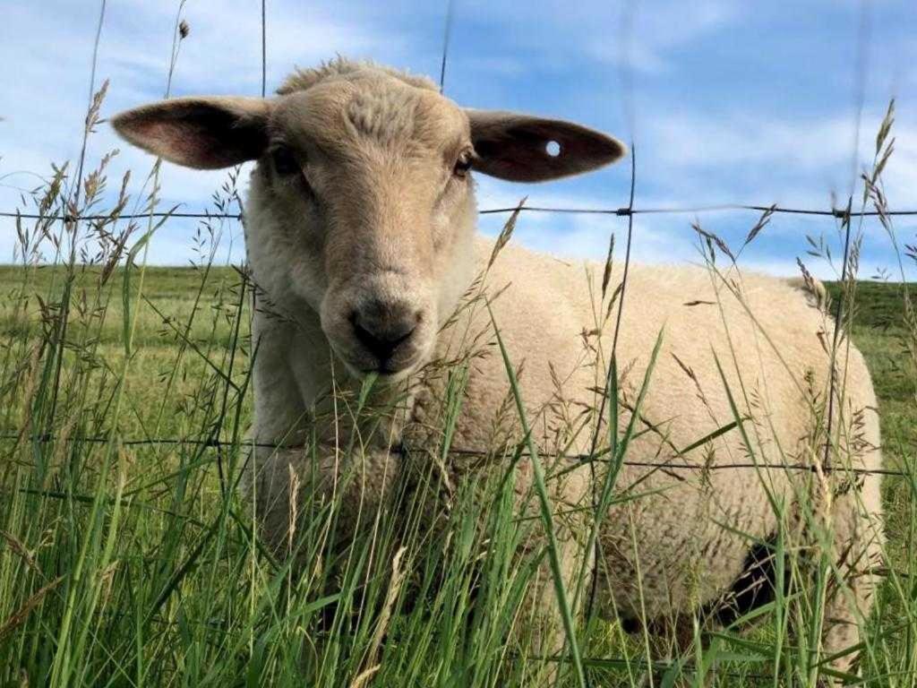 Holthus Lägenhet Kollmar Exteriör bild